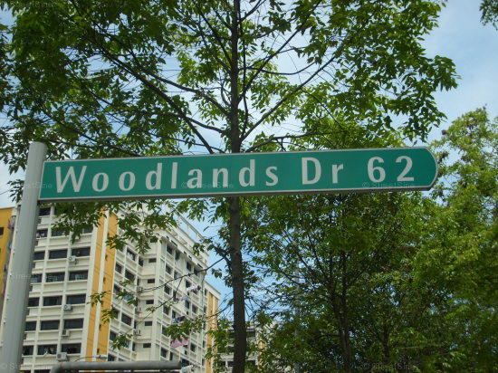 Woodlands Drive 62 #85972